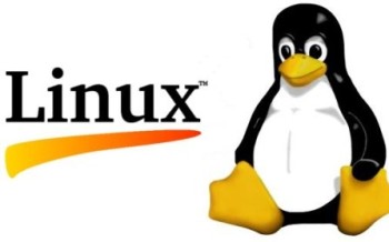 Comment et pourquoi j'en suis venu à Linux : le témoignage de Radegonde