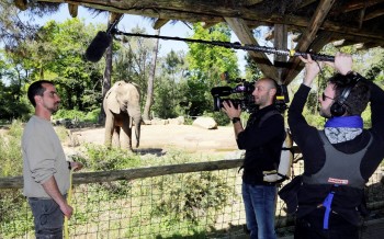 Une saison au zoo