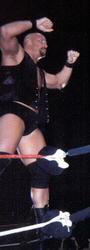 Stone Cold sobre !