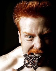 Le roi Sheamus !