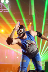 Shark Boy est de retour ! 