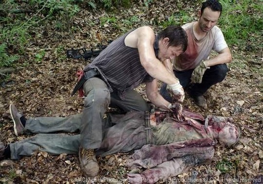 La critique de la série The Walking Dead, Saison 2
