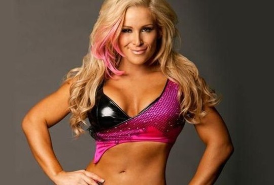 WWE - Money in the Bank - 2012