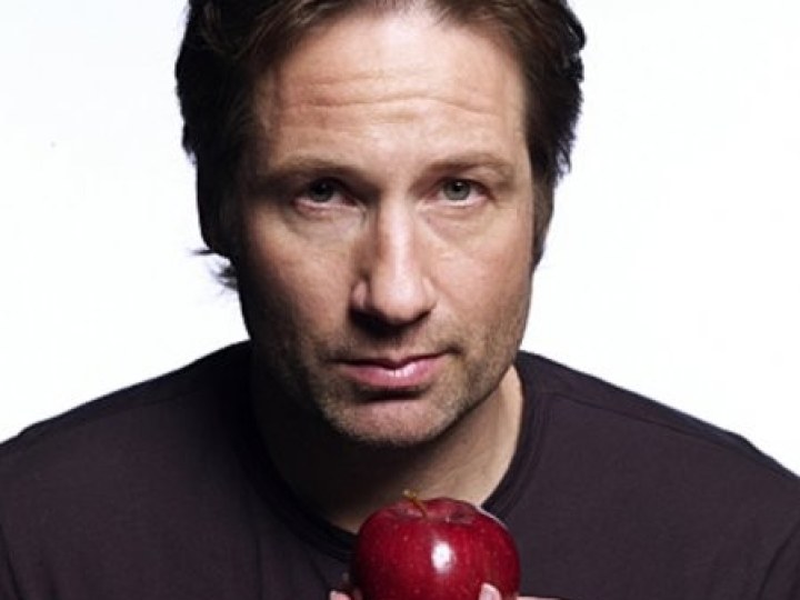 David Duchovny revient sur le petit écran