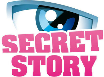 Benjamin Castaldi dans Secret Story - 2008