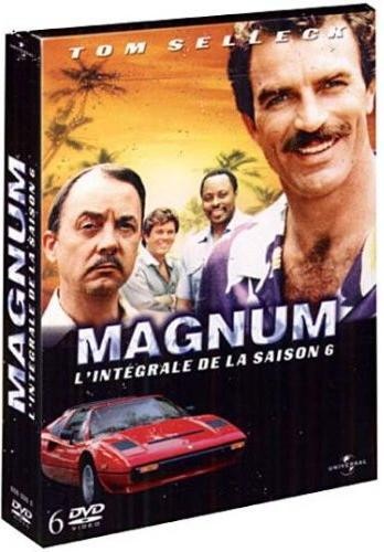 Leo Penn dans Magnum - Saison 6