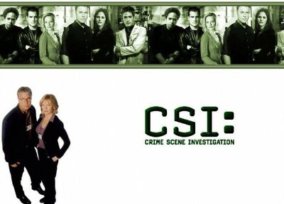 Les Experts - Saison 1