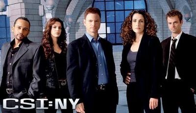 Les Experts : Manhattan - Saison 1