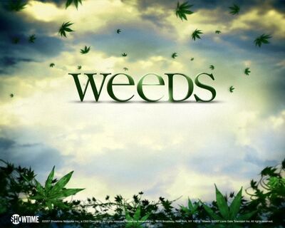 Weeds - Saison 3