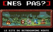 NES Pas