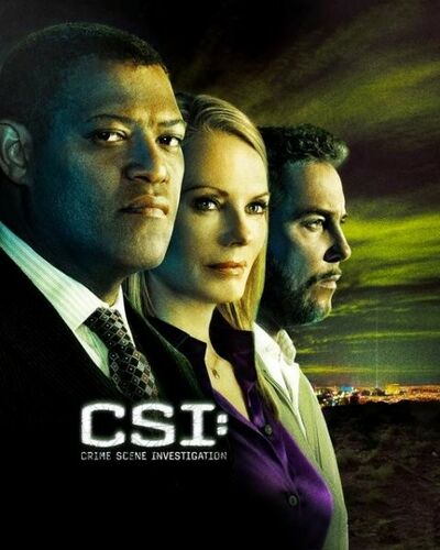 Les Experts - Saison 9