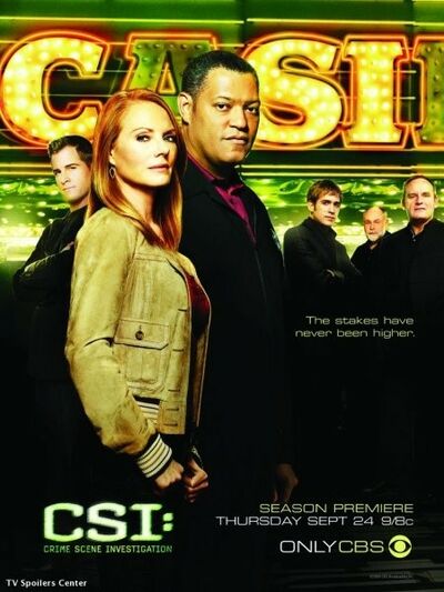 Les Experts - Saison 10