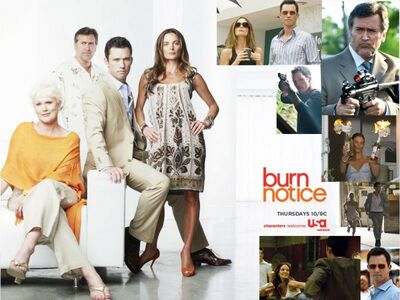 Burn Notice - Saison 4