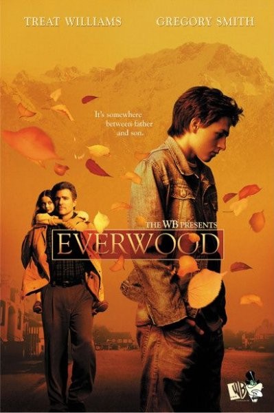 Everwood - Saison 1