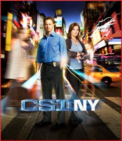 Les Experts : Manhattan - Saison 7