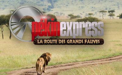 Pékin Express 2011 : La route des grands fauves