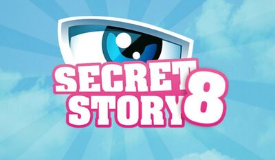 Benjamin Castaldi dans Secret Story - 2014