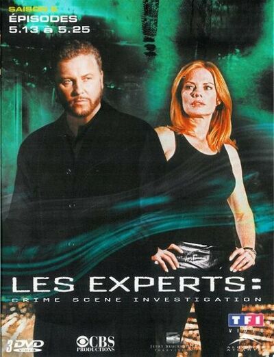 Les Experts - Saison 5