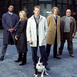 Keen Eddie - Saison 1