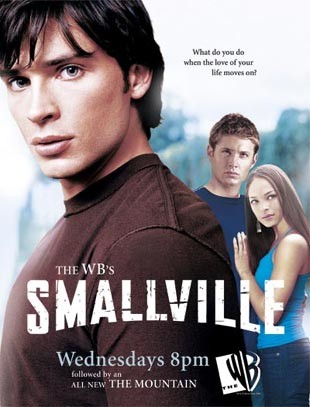 Cobie Smulders dans Smallville - Saison 4