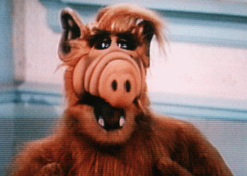 La Cinquième dans Alf - Saison 3