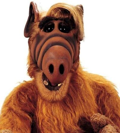 Alf - Saison 1