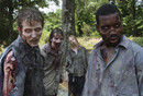 La critique de la série The Walking Dead, Saison 2