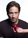 David Duchovny revient sur le petit écran