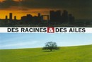 Des racines et des ailes : exit De Carolis