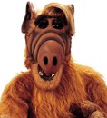 Alf